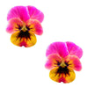 Freaking Awesome Flower Pansy Pasties